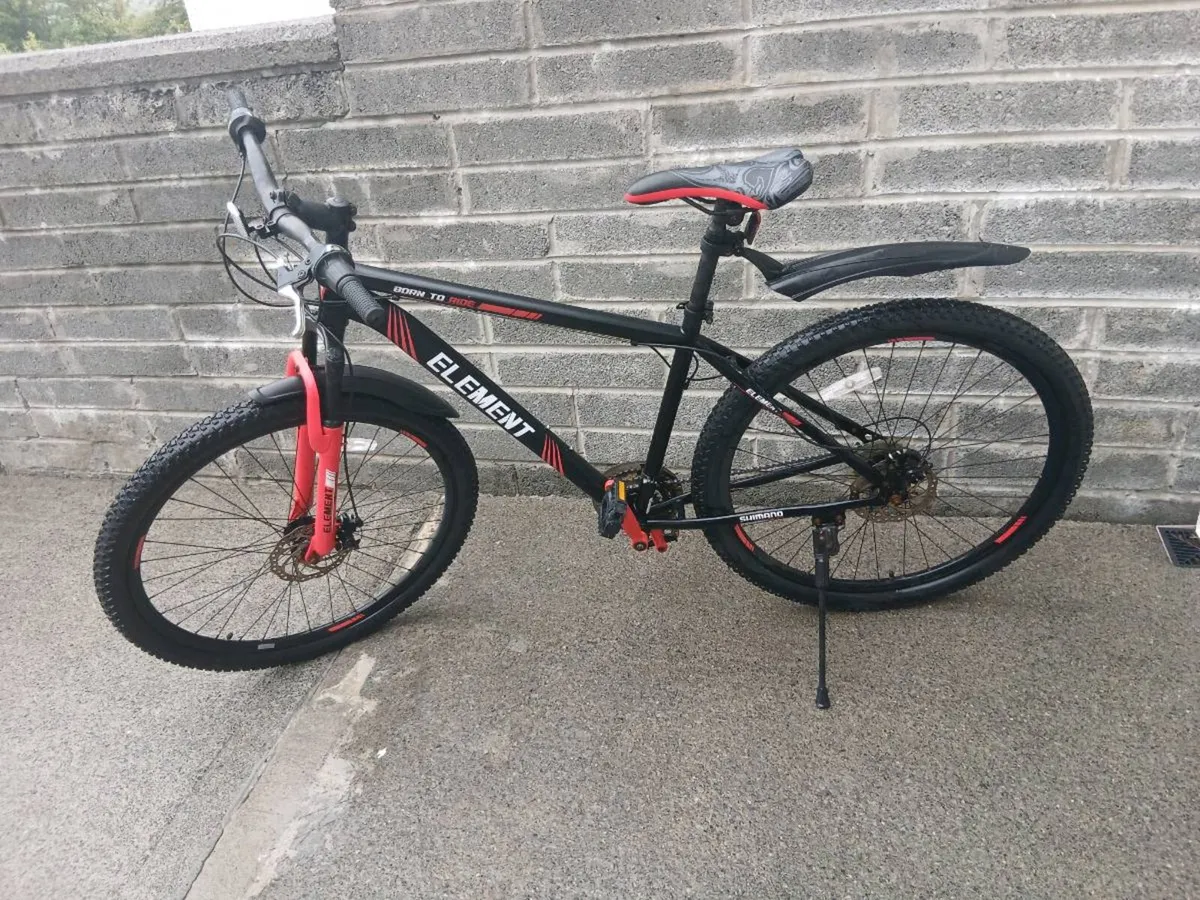 ADULTS BIKE - Image 2
