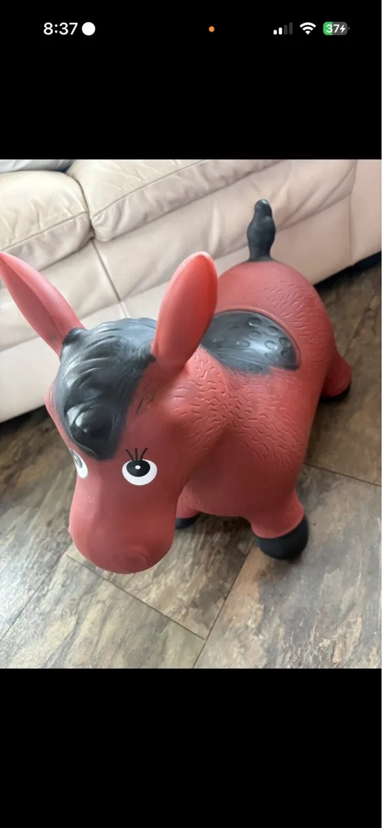 Bouncy donkey