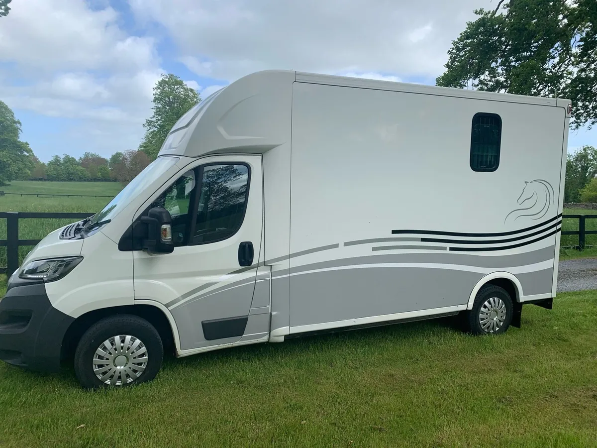 Two horse Theault Peugeot Boxer 2018 - Image 4