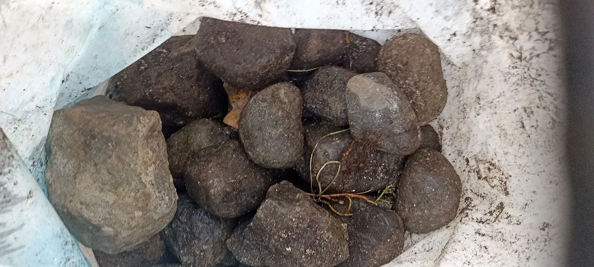 Cobble/Rounded Stones - Image 4