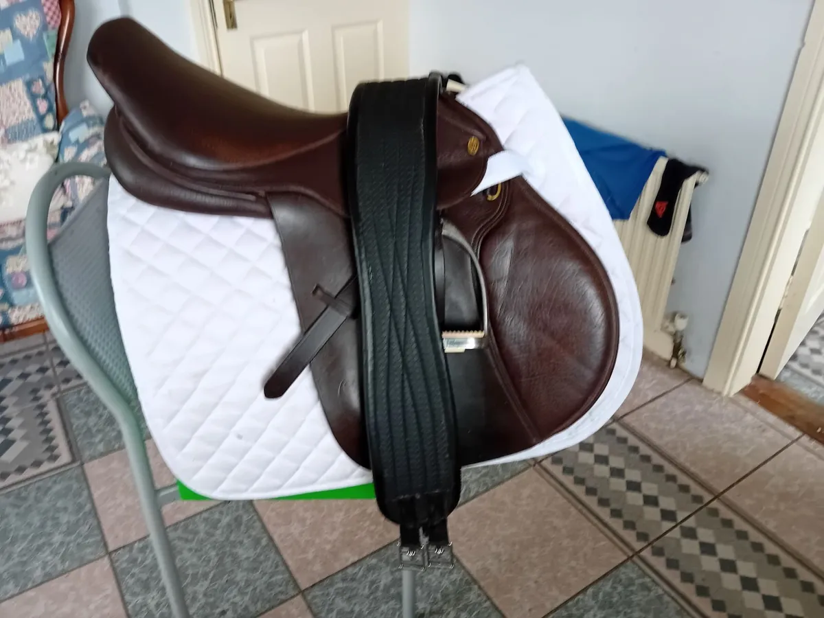 saddles - Image 4