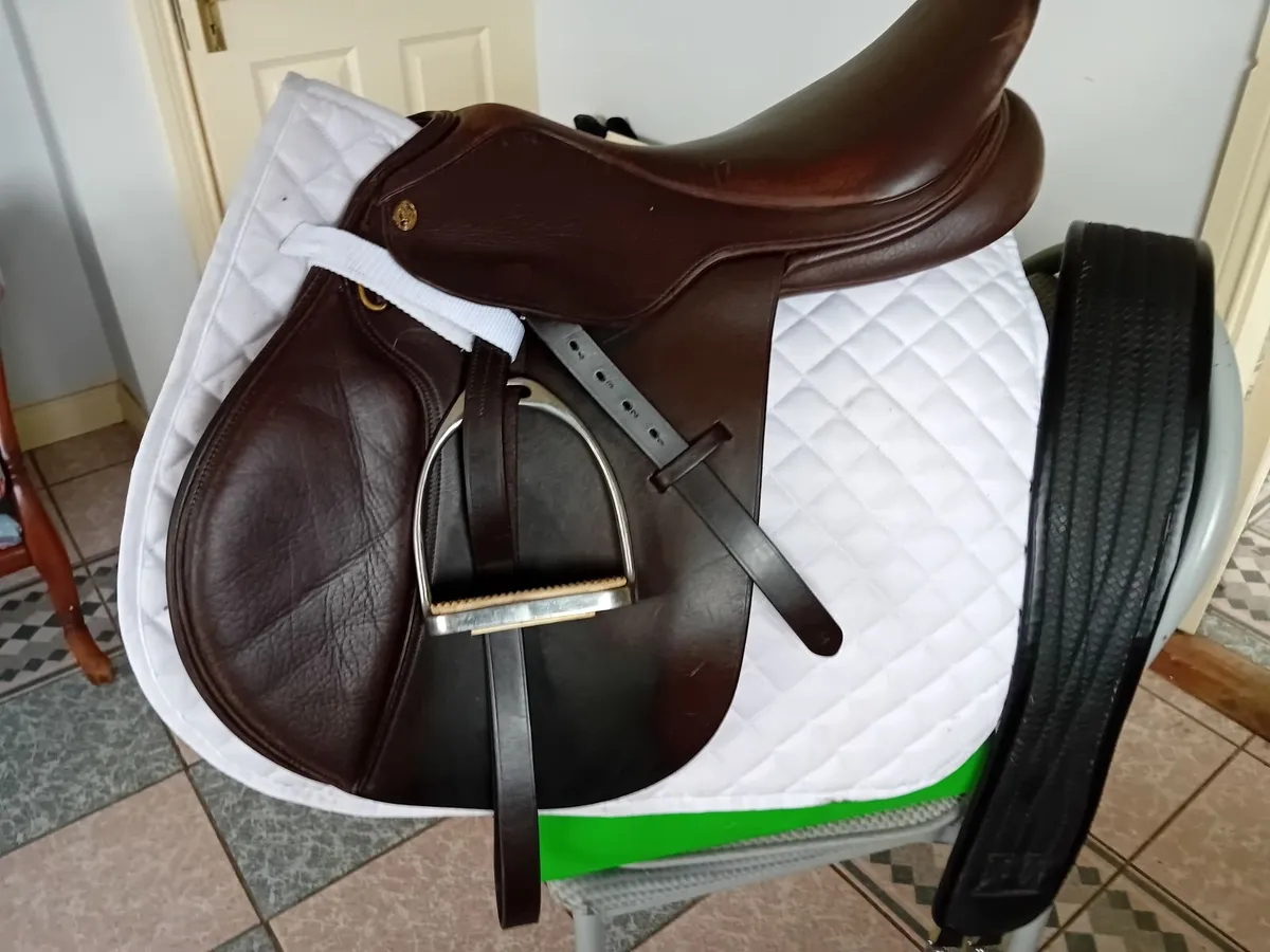 saddles - Image 1