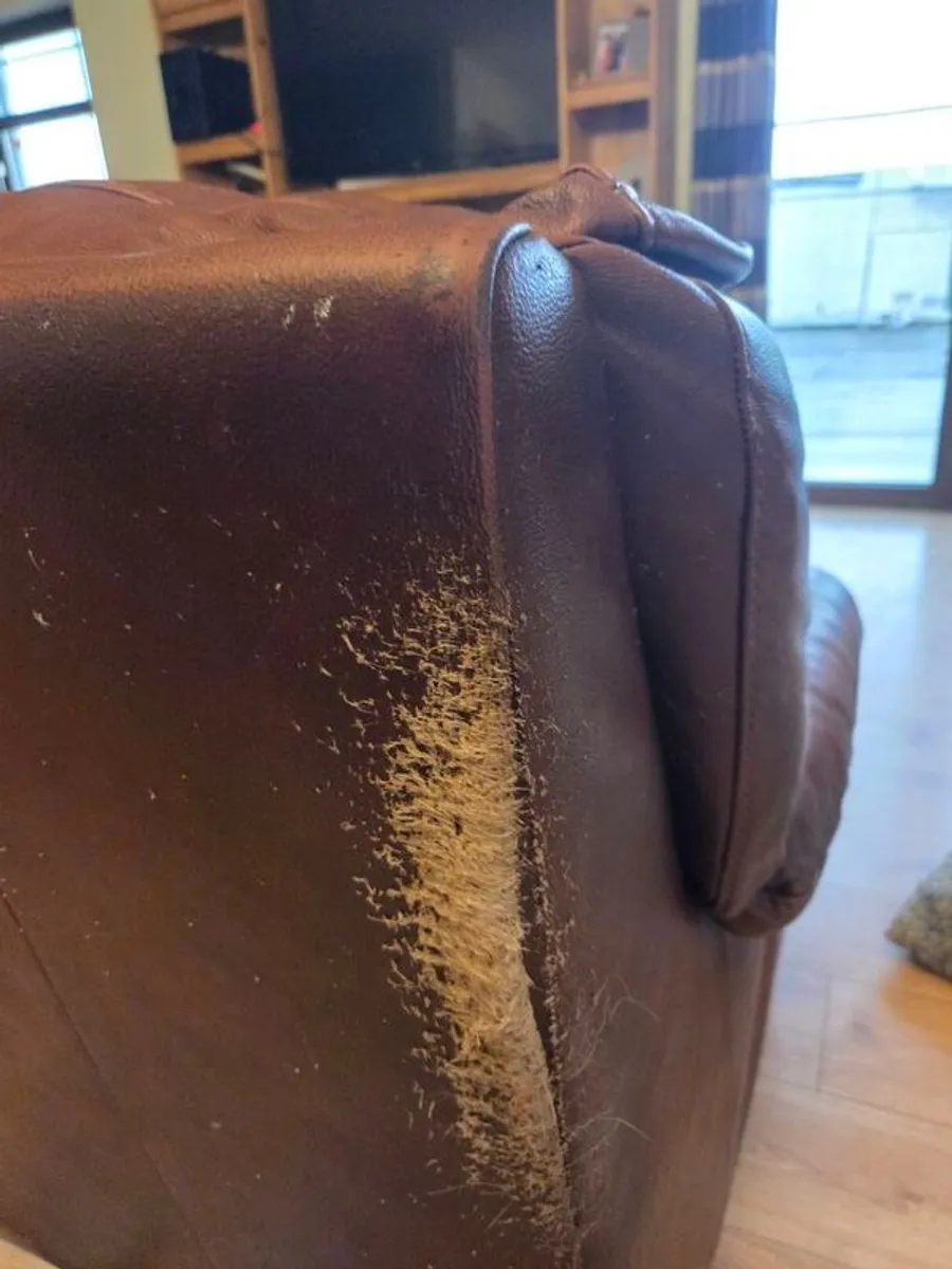 Sofa - Image 3
