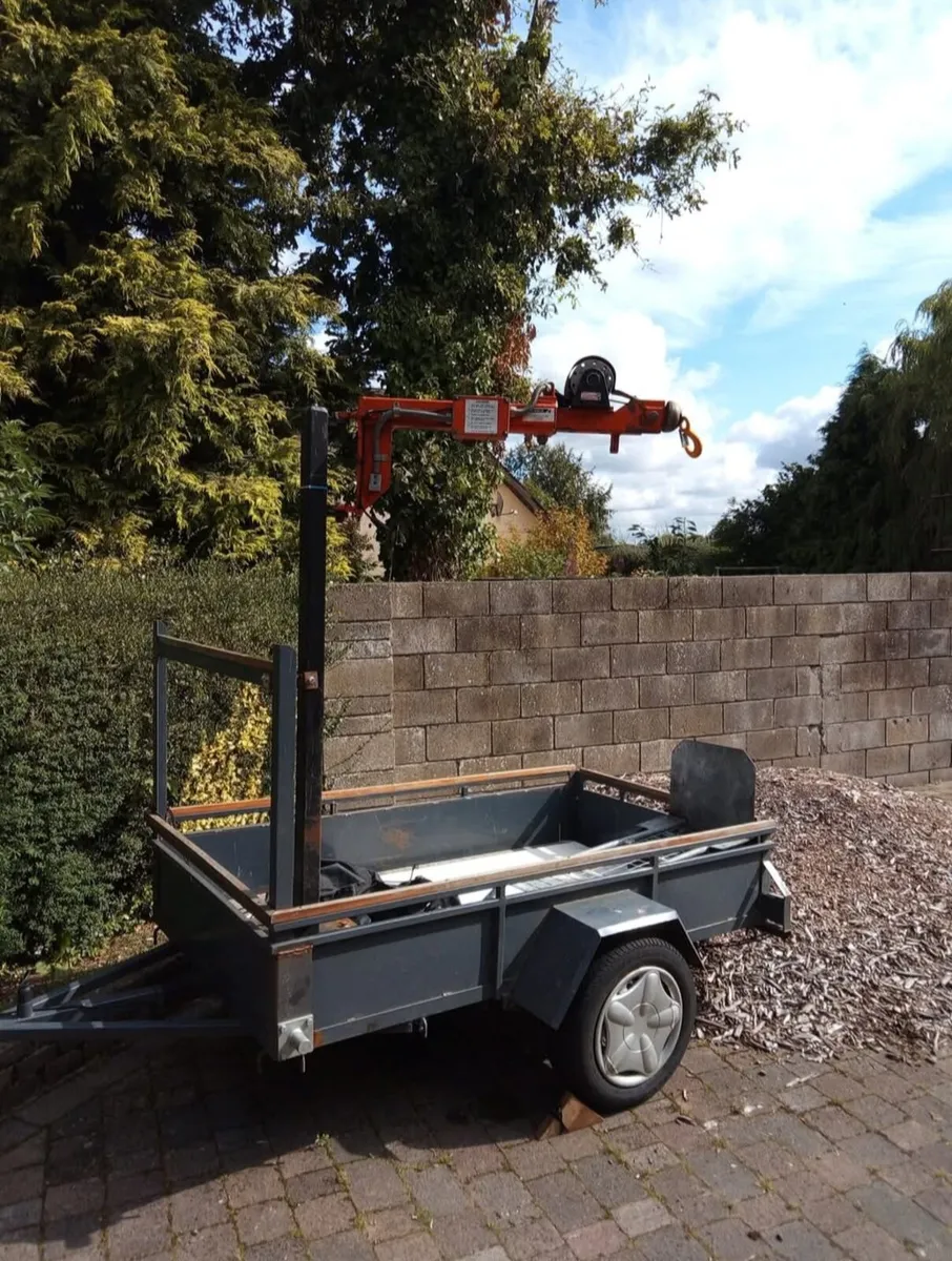 Trailer with Electric Crane for Sale