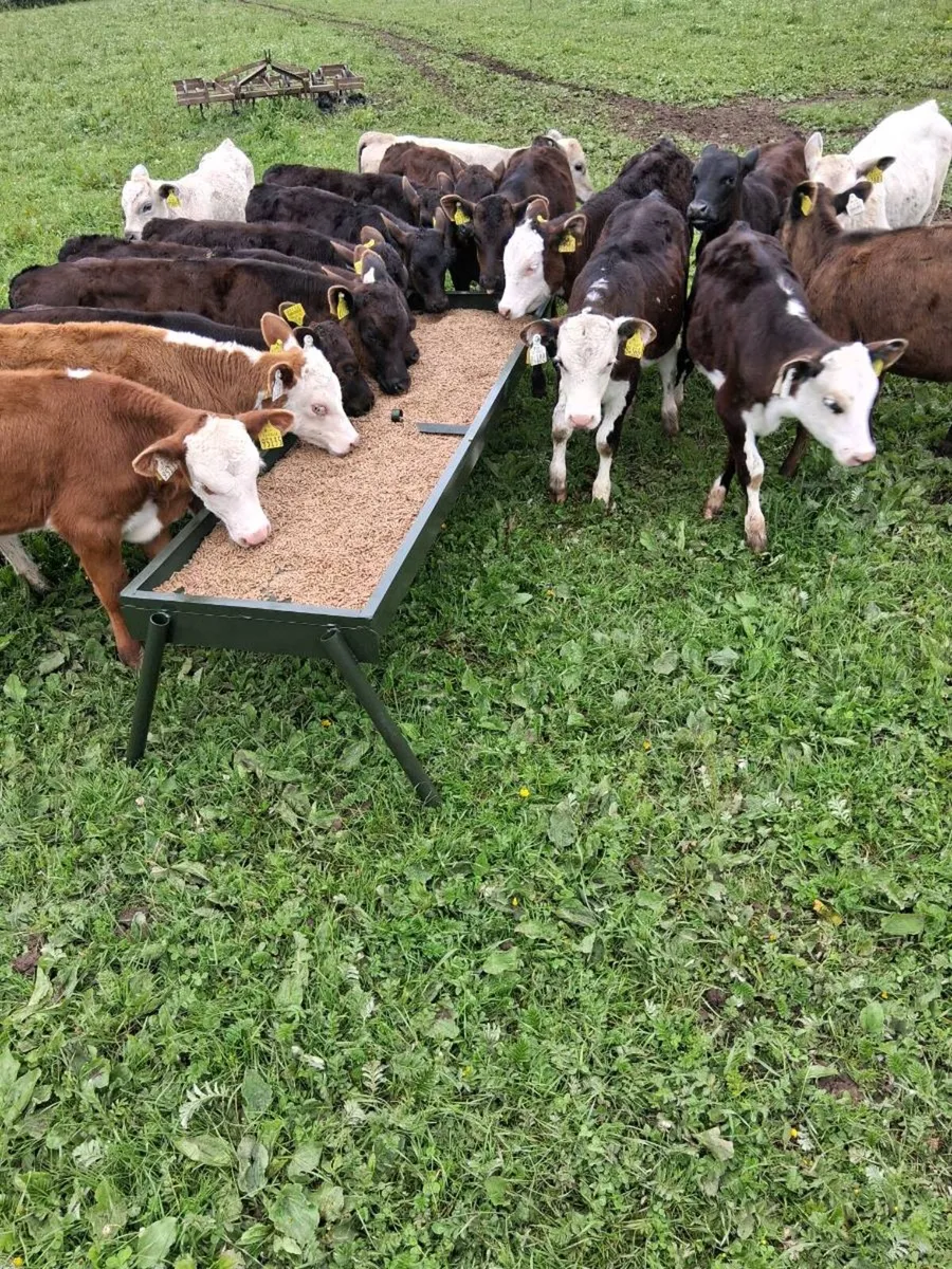 Cattle double feeding trough - Image 1