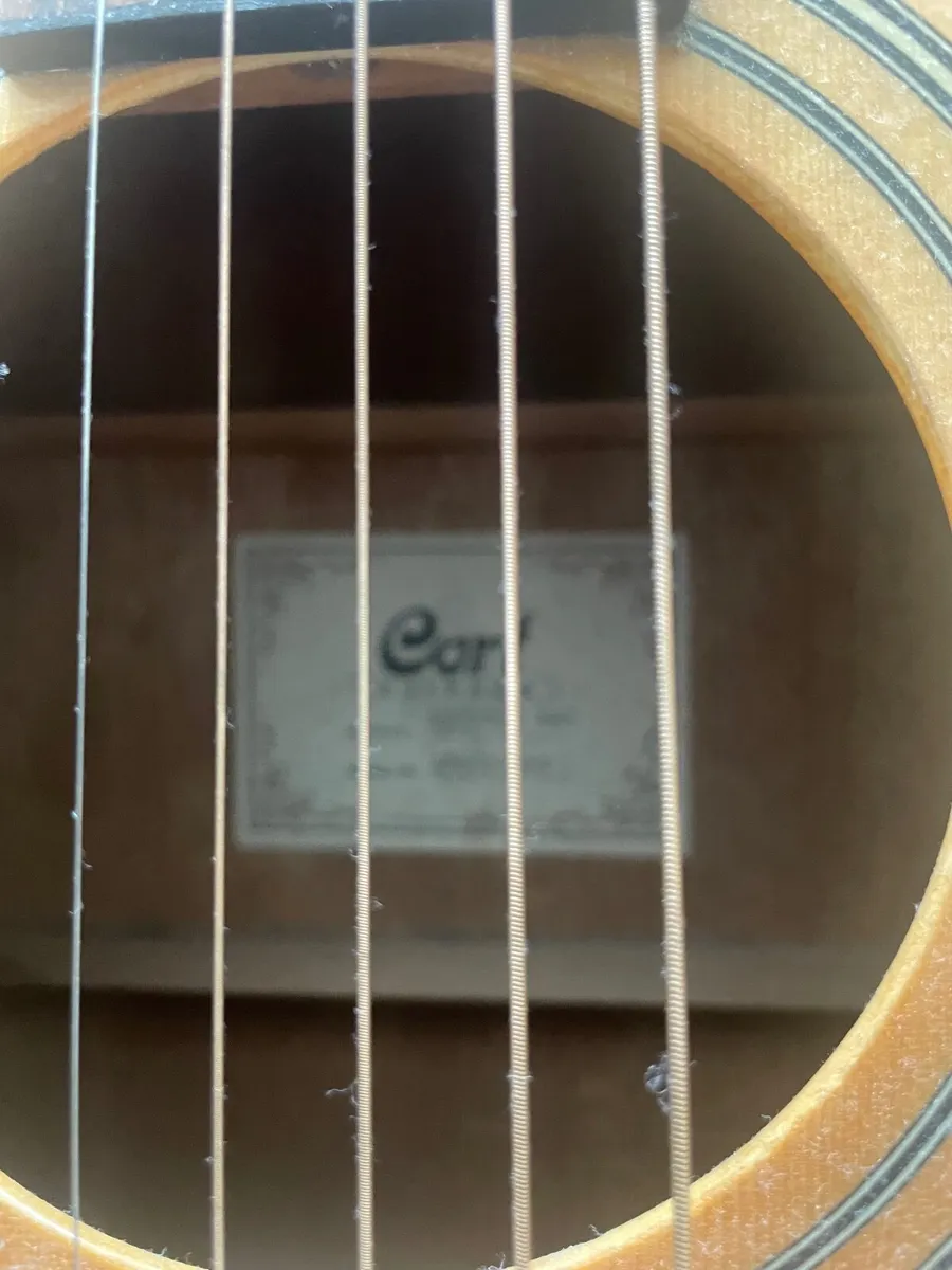 Left Hand Guitar - Image 1
