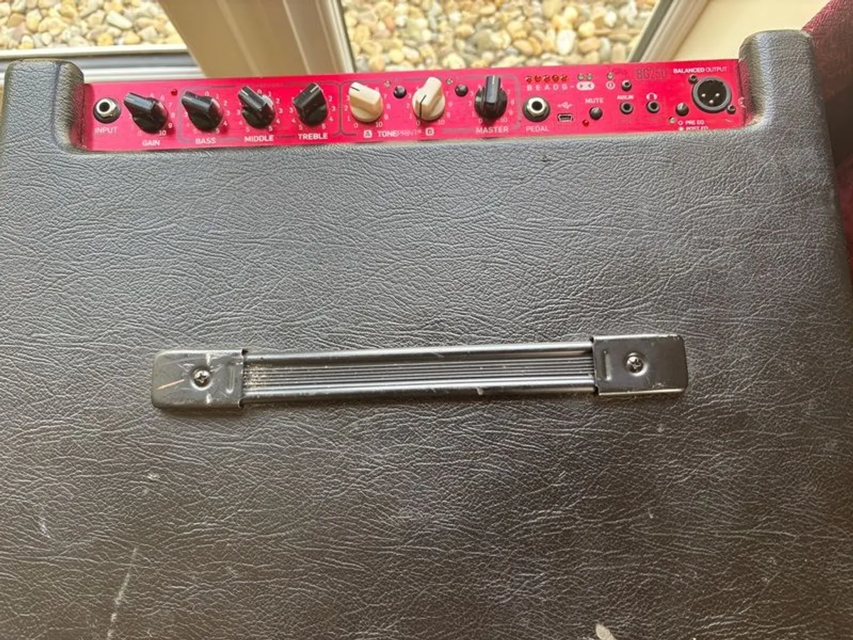 TC Electronics BG250 Bass Combo - Image 2