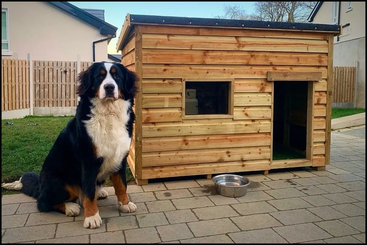 Dog Boxes - Image 1