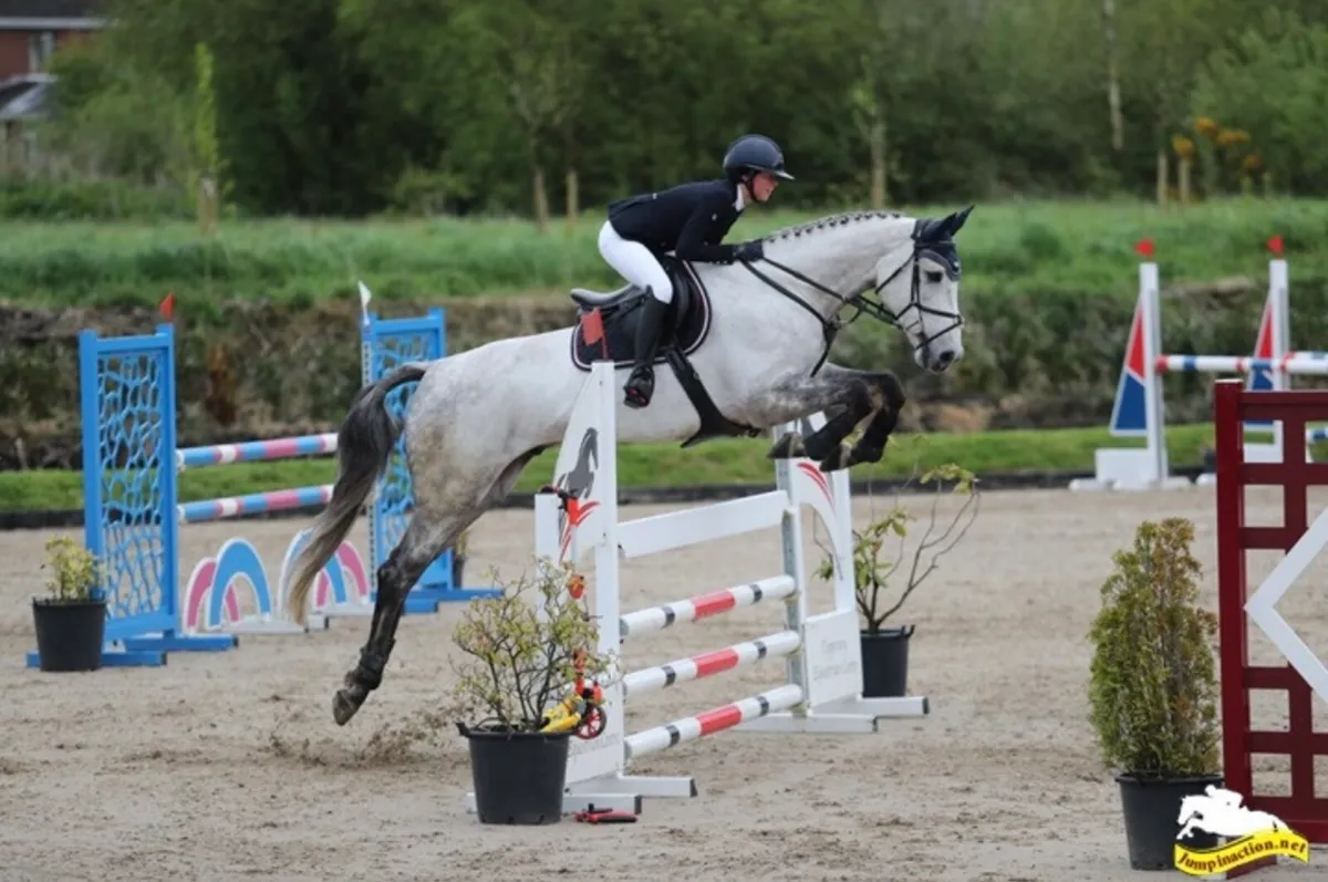 17h schoolmaster - Image 1
