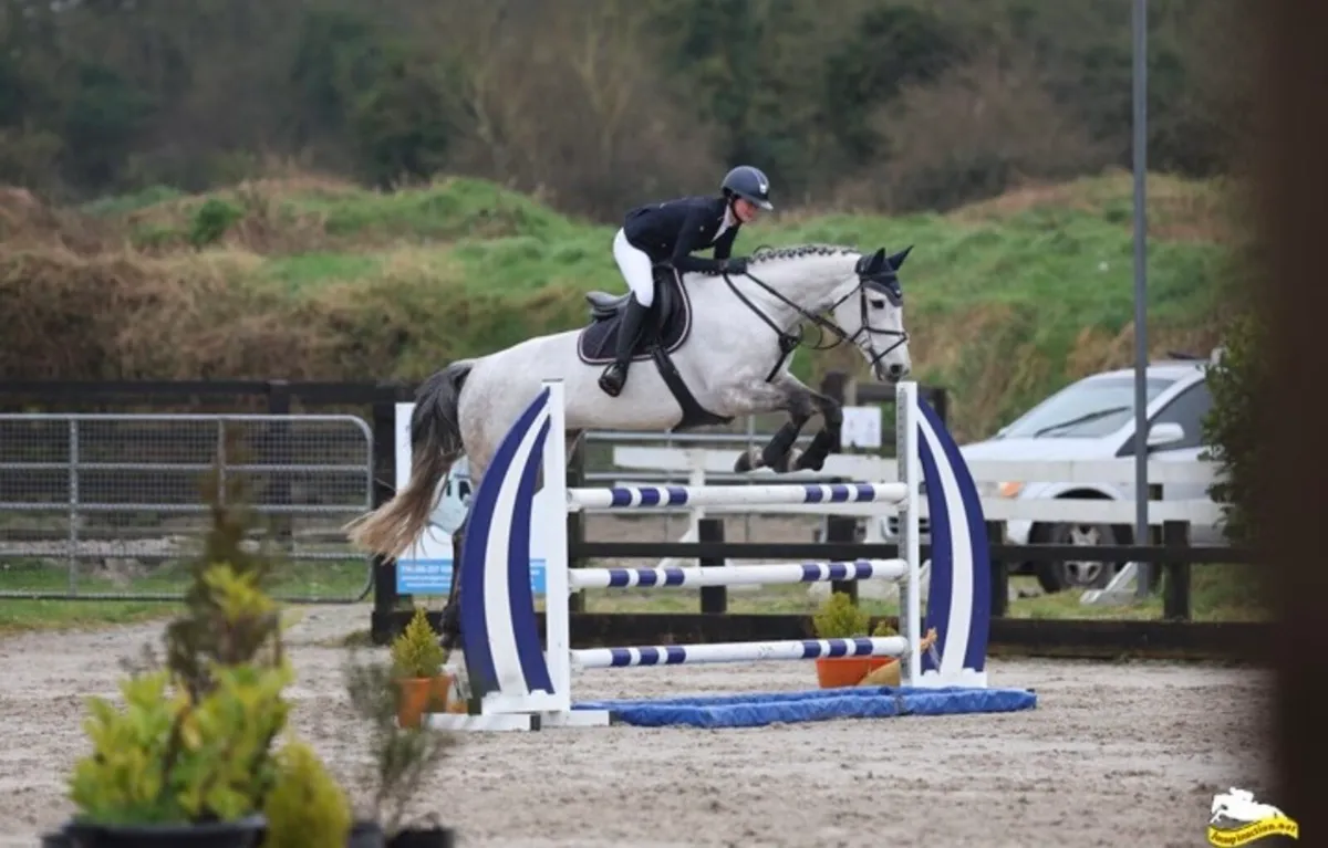 17h schoolmaster - Image 3