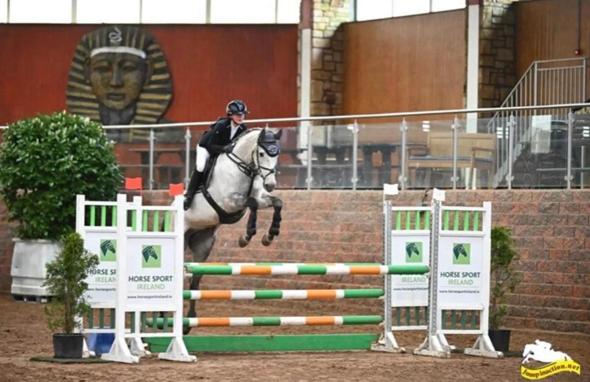 17h schoolmaster - Image 2