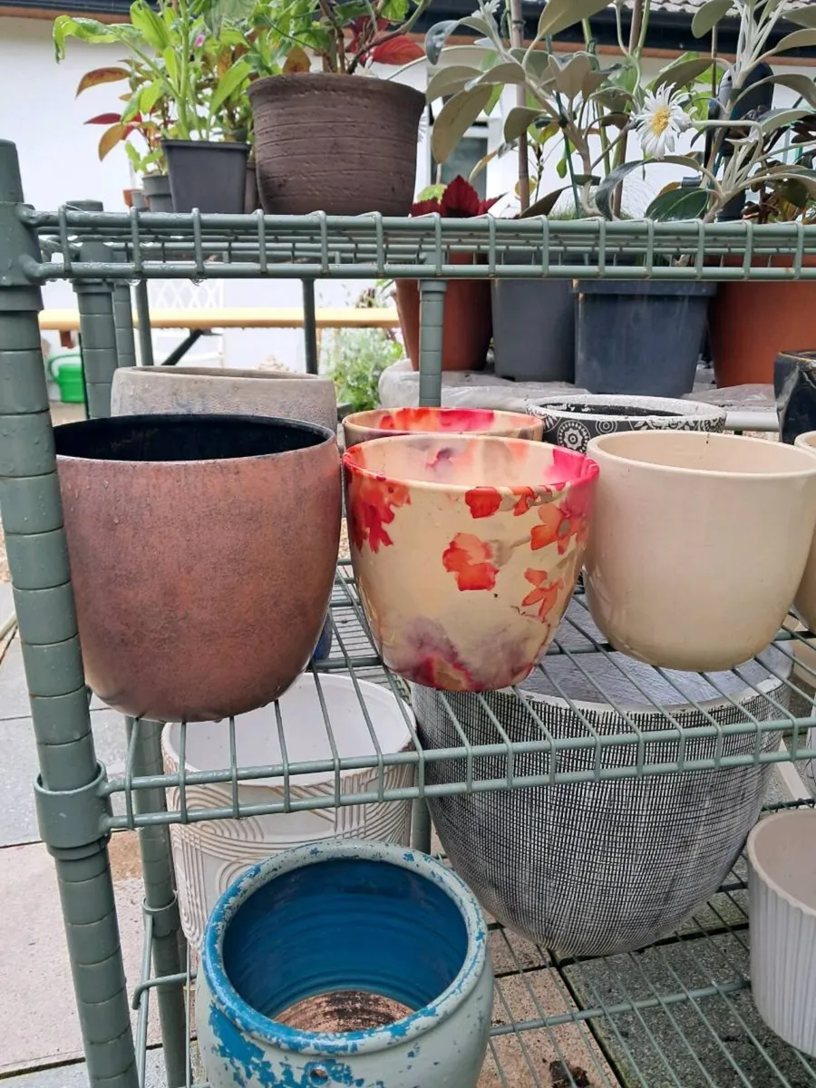 Indoor pots - Image 4