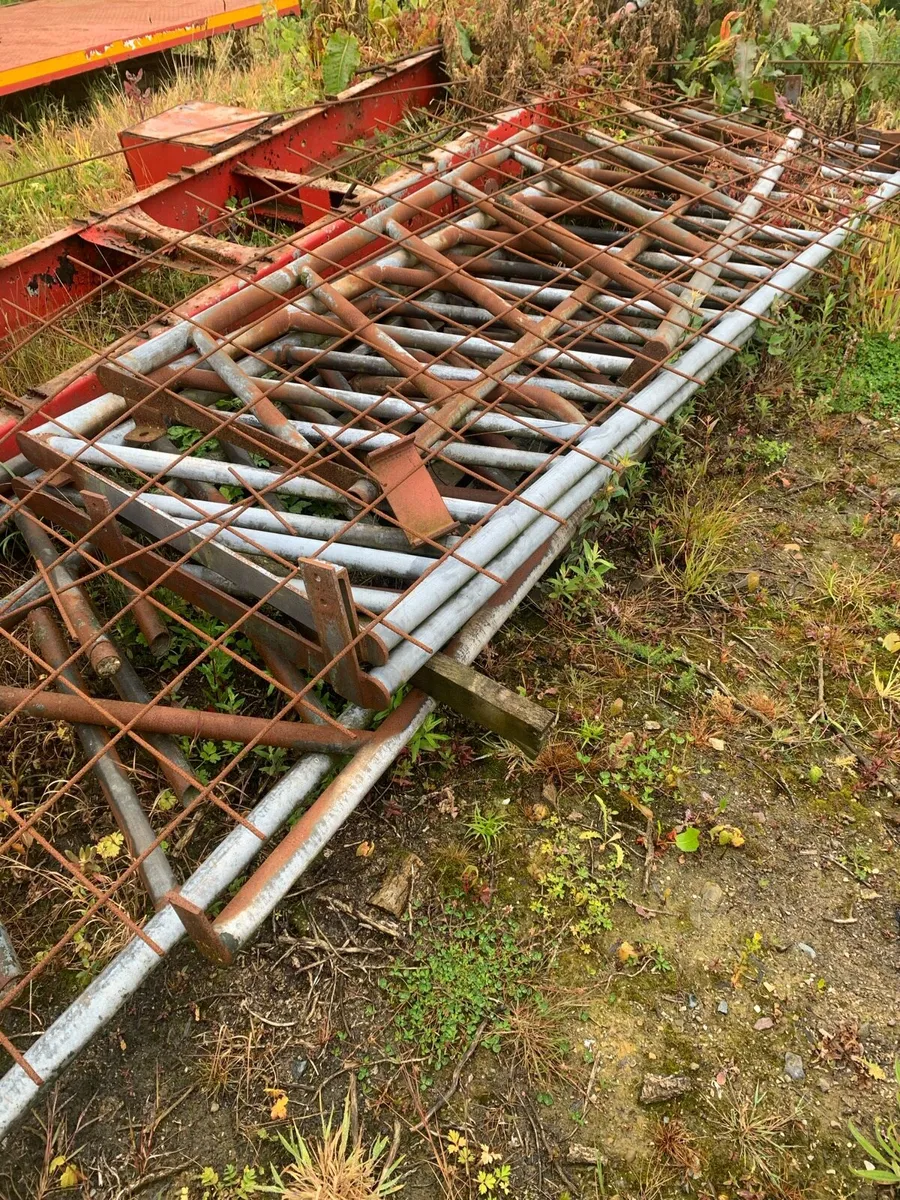 Cattle head rails