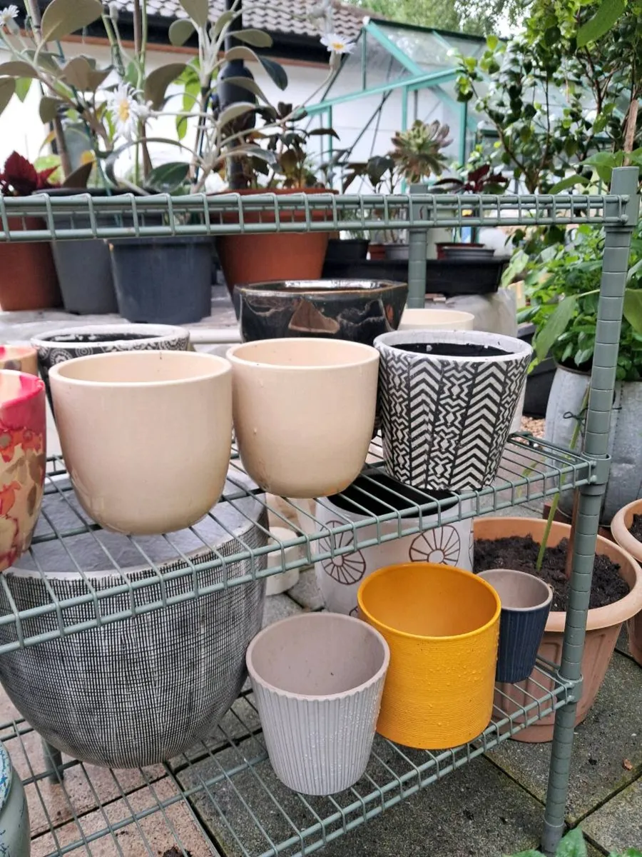 Indoor pots - Image 1