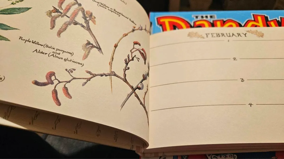 Birthday Book - Image 2