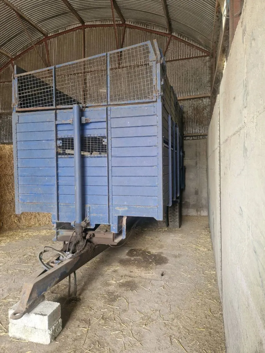 Silage Trailer/Cattle Trailer - Image 3