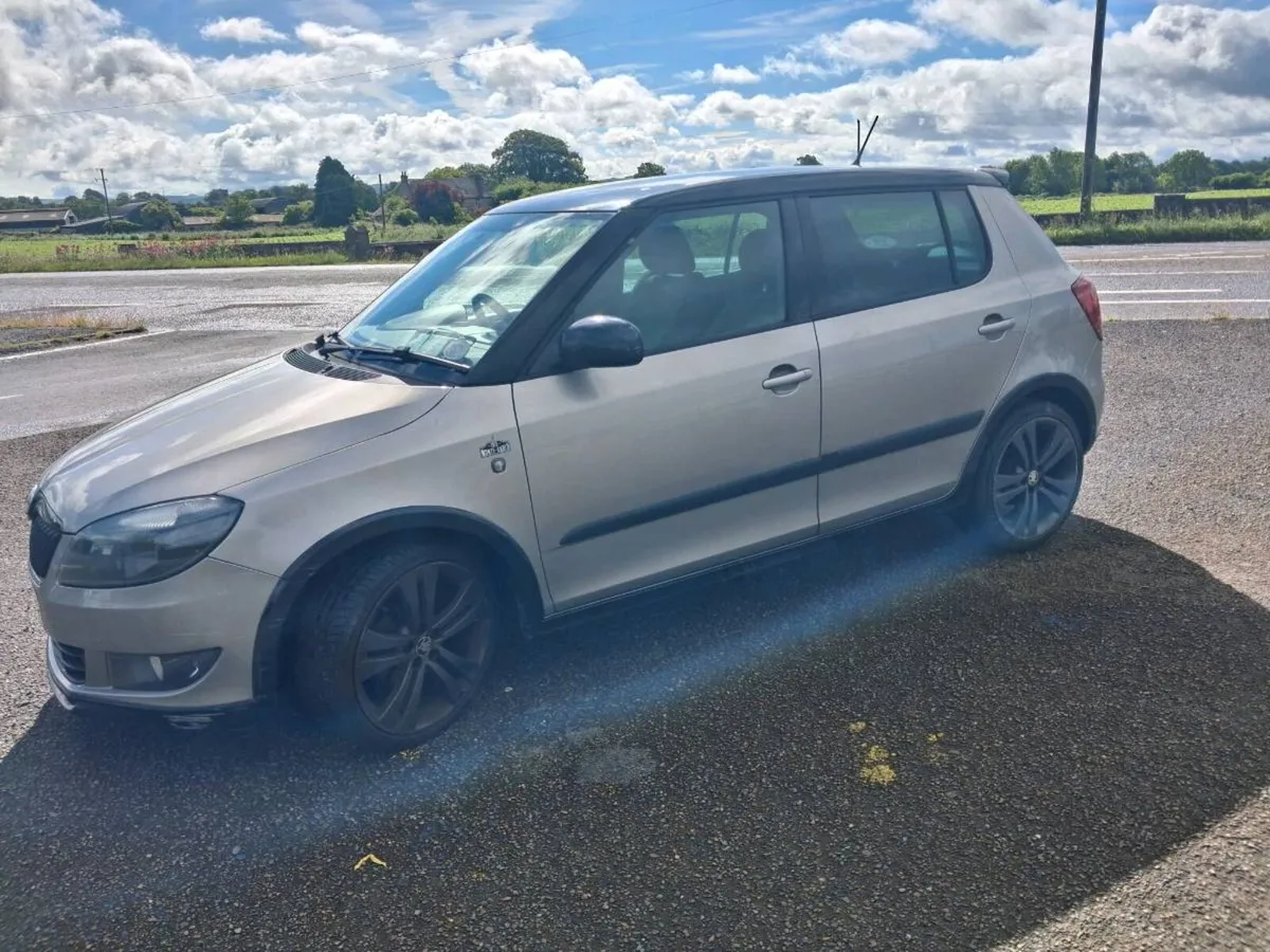 Skoda Fabia Monte Carlo 2013 - Image 2