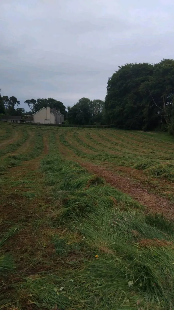 Silage bales - Image 1