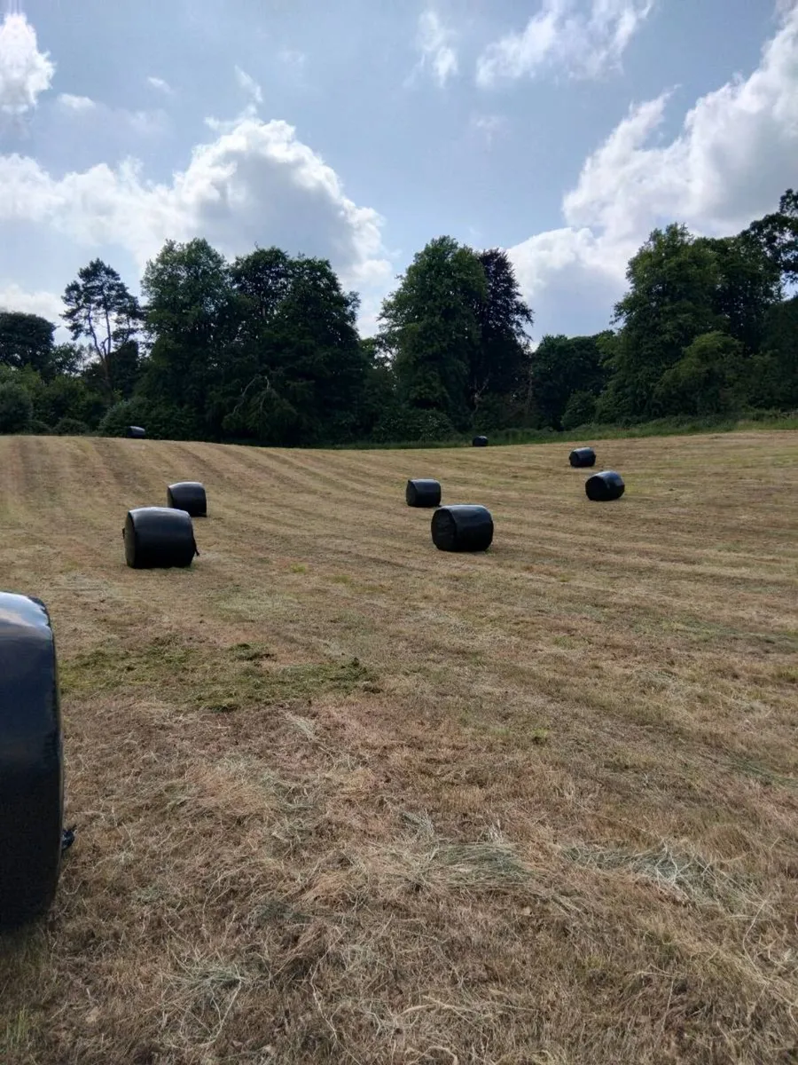 Silage bales - Image 2