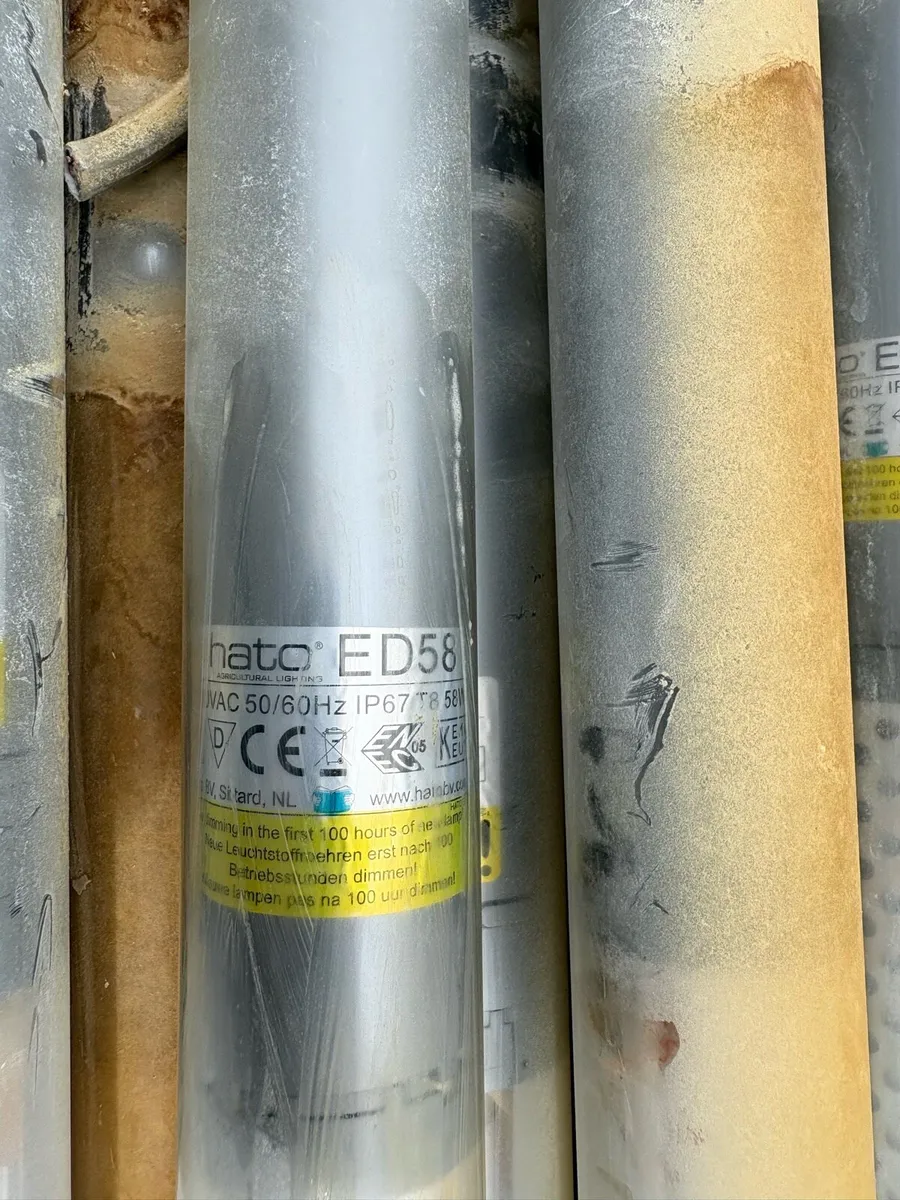 Poultry house lights - Image 4