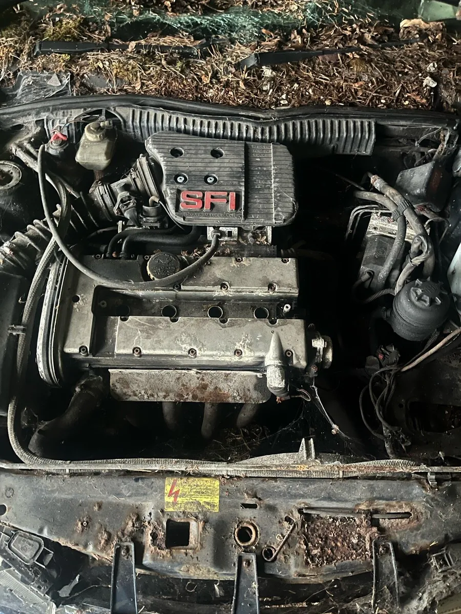 2.0 red top - Image 1