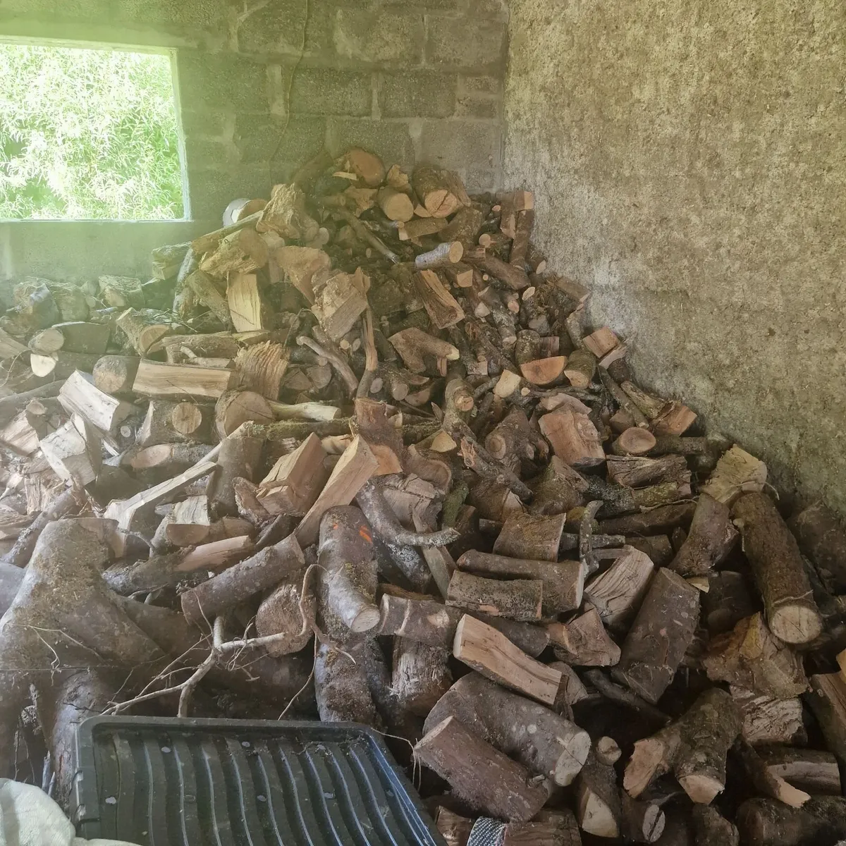 Ash and beech firewood - Image 1