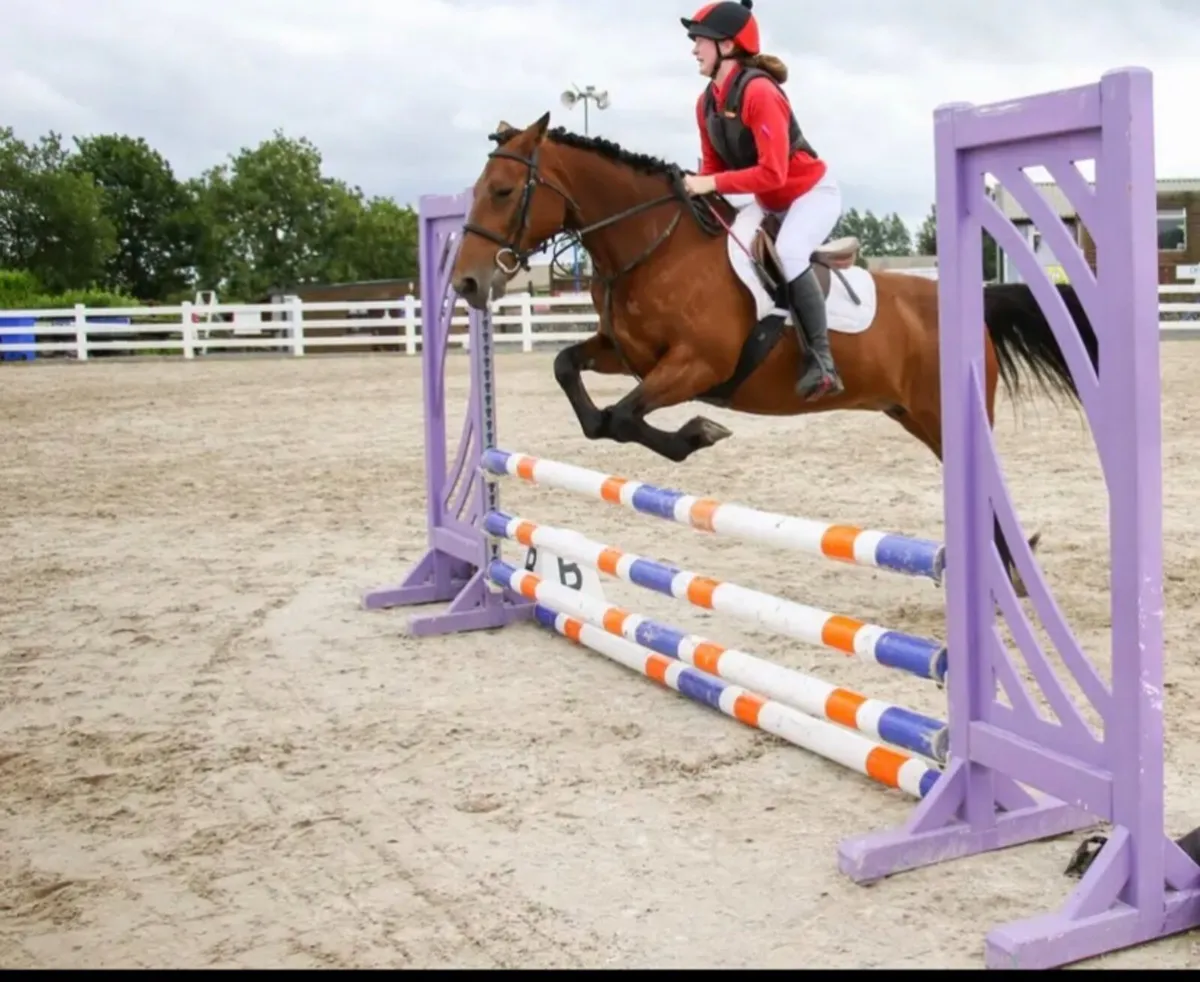 Pony - Image 2