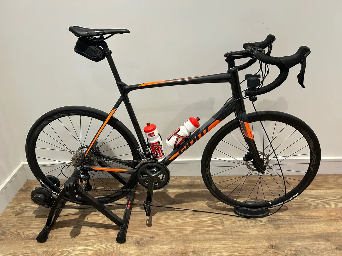 Giant Contend SL