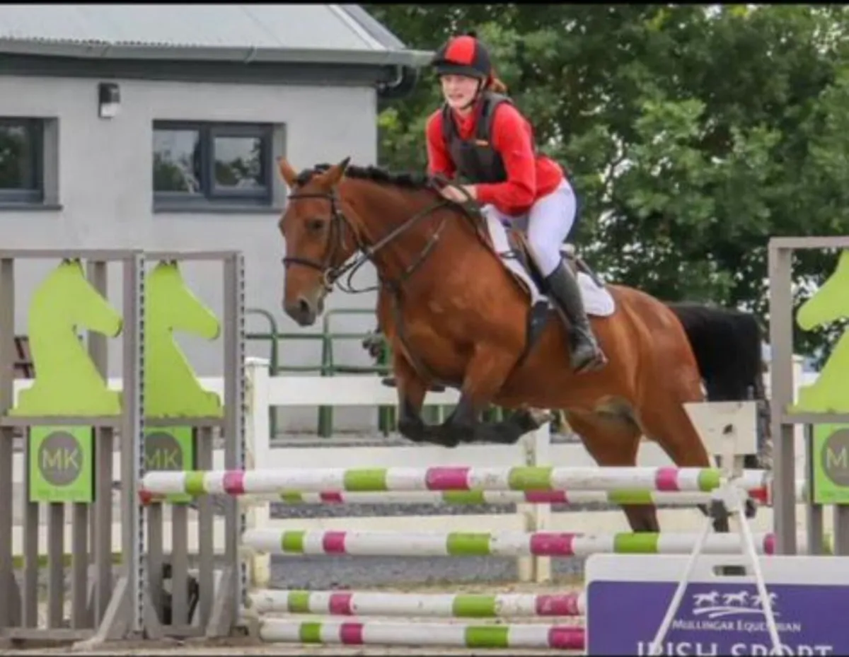 Pony - Image 1