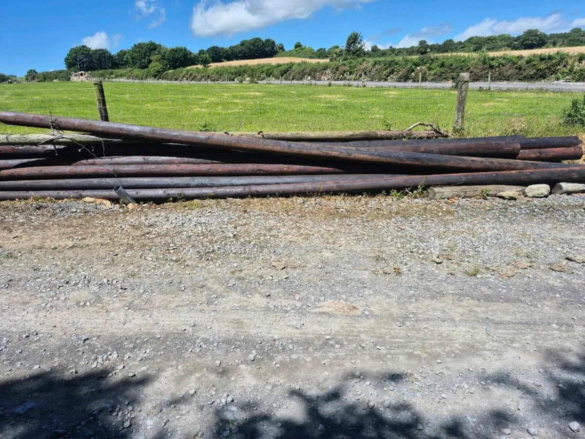 Telephone poles - Image 1