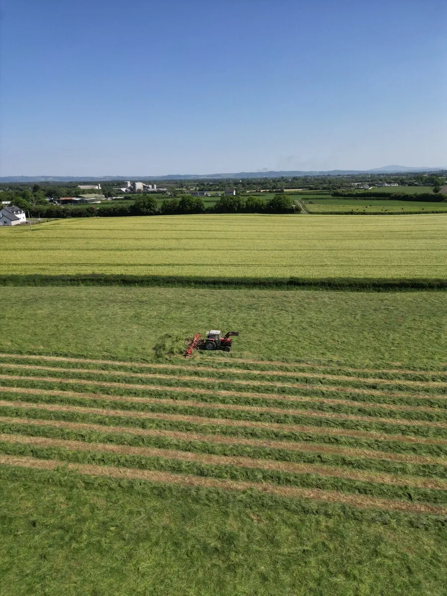 Lely 770 Tedder - Image 4