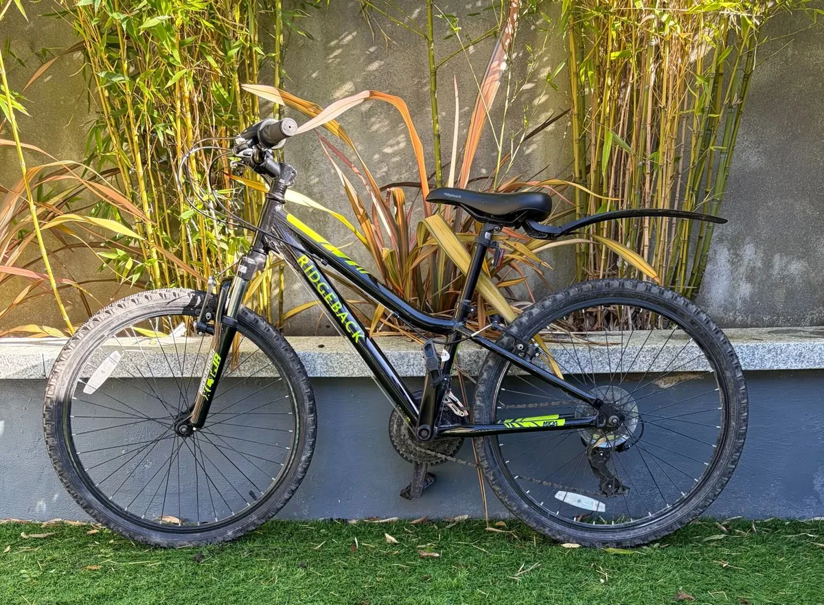 Ridgeback MX24 bike - Image 1