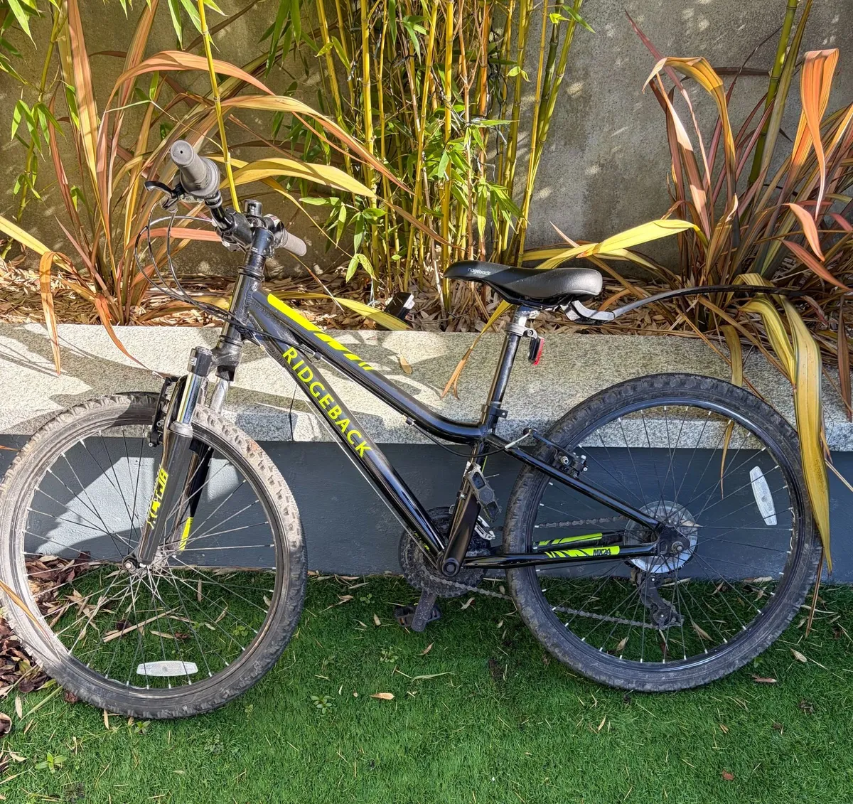 Ridgeback MX24 bike - Image 2