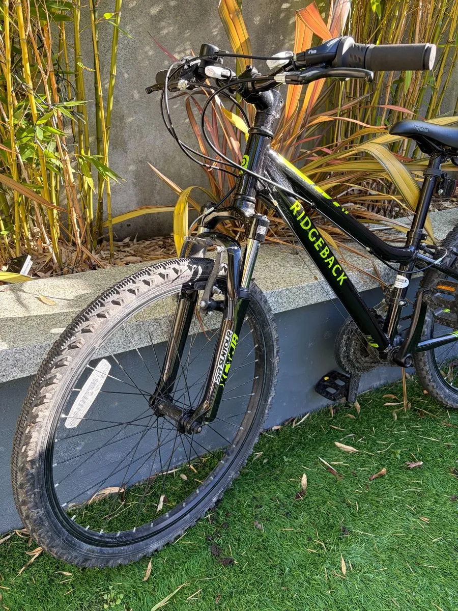 Ridgeback MX24 bike - Image 3