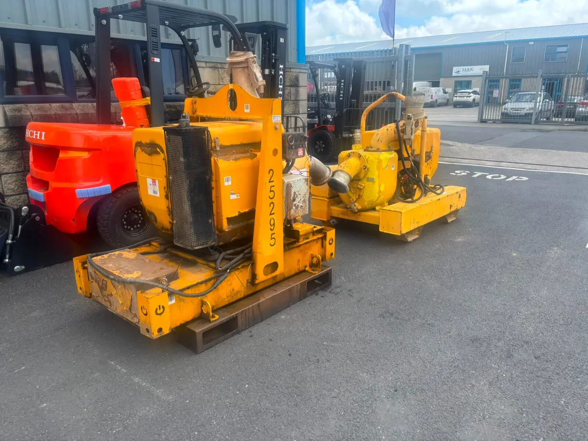 For Sale: Varisco Water Pumps - Image 2