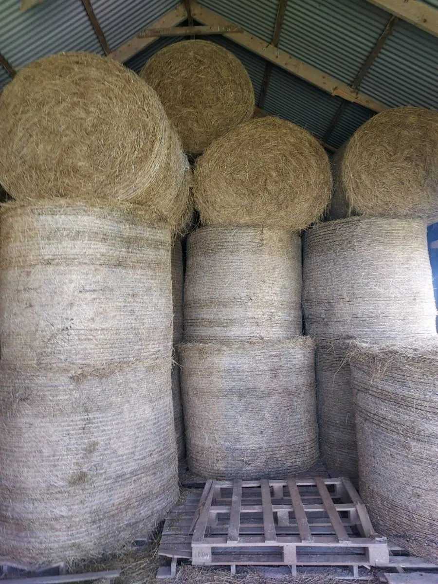 Hay in Kerry