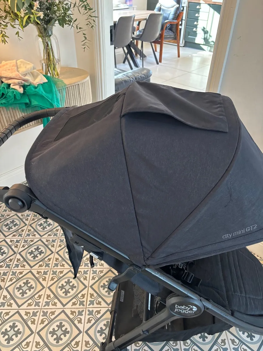 Buggy - Image 3