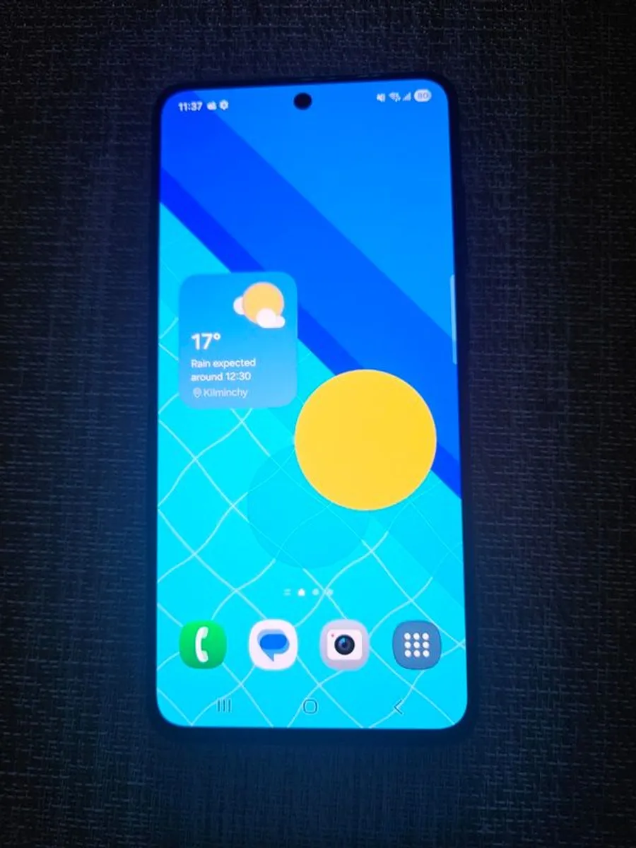 Samsung Galaxy S21 FE 5G - Image 2