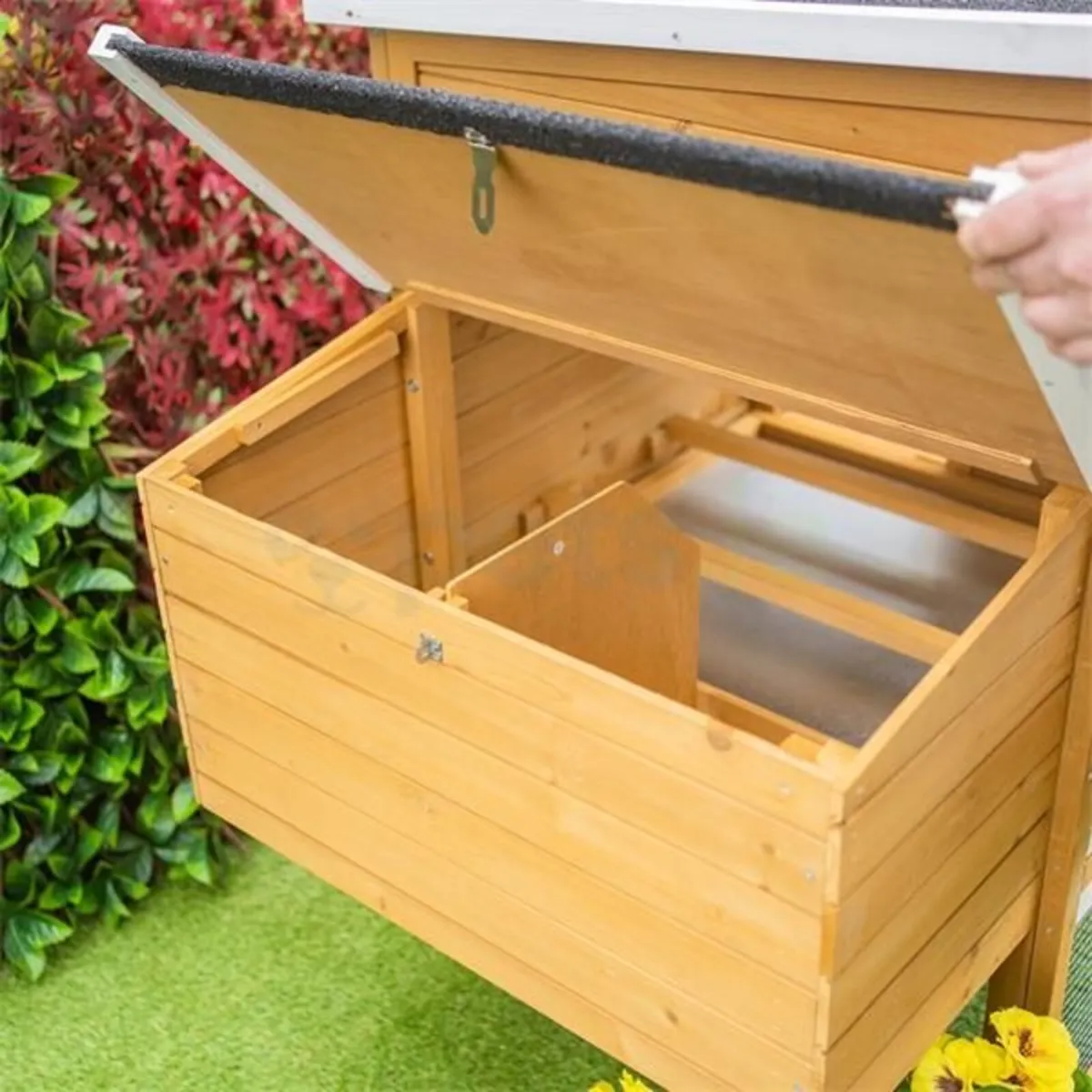 Chicken Coop - Image 4