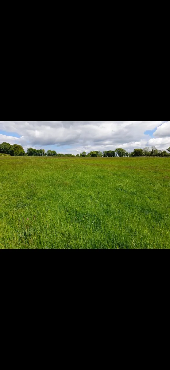 Silage Ground