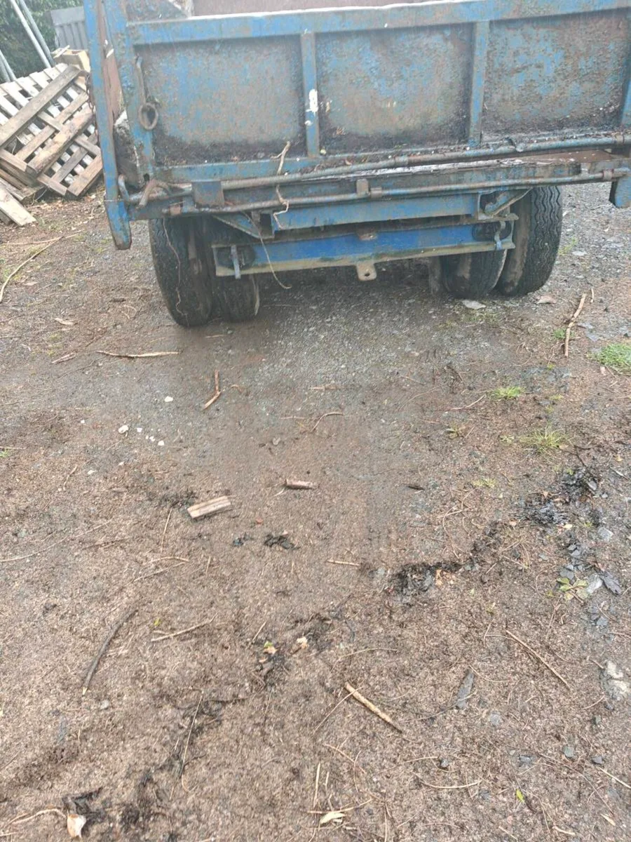 Trailer,& Bail. Lifter - Image 3