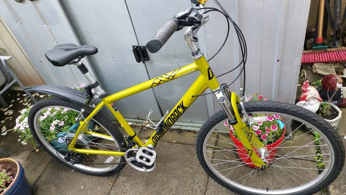 Ridgeback Mountain Bike - Image 1