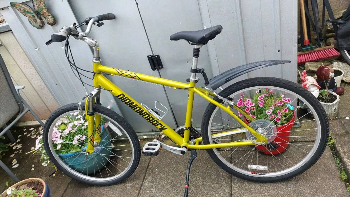 Ridgeback Mountain Bike - Image 4