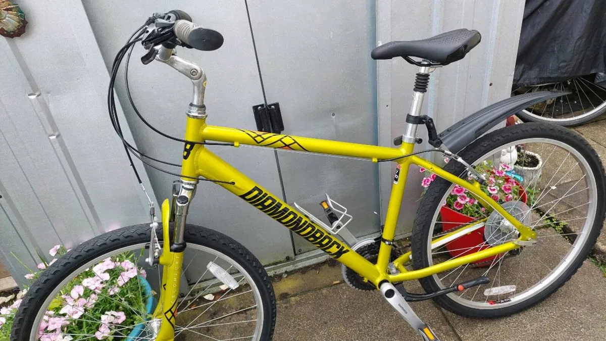 Ridgeback Mountain Bike - Image 2