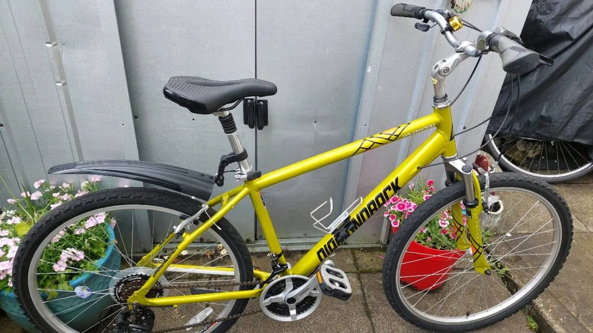 Ridgeback Mountain Bike - Image 3