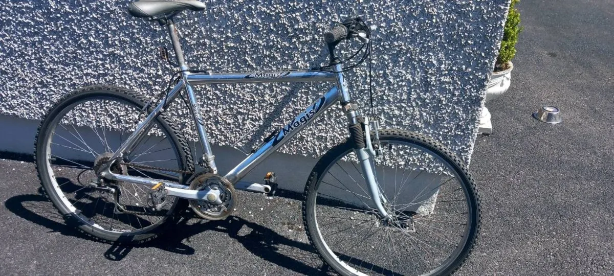 Adult  bike - Image 3