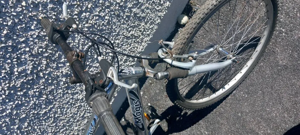 Adult  bike - Image 4