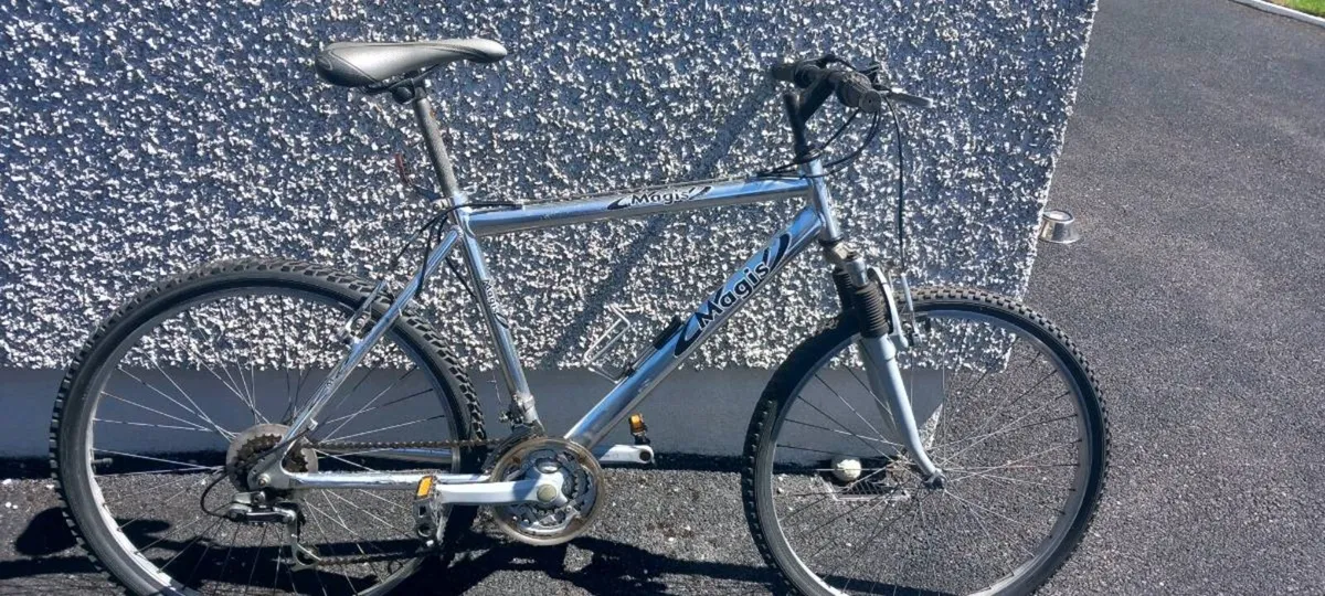 Adult  bike - Image 2