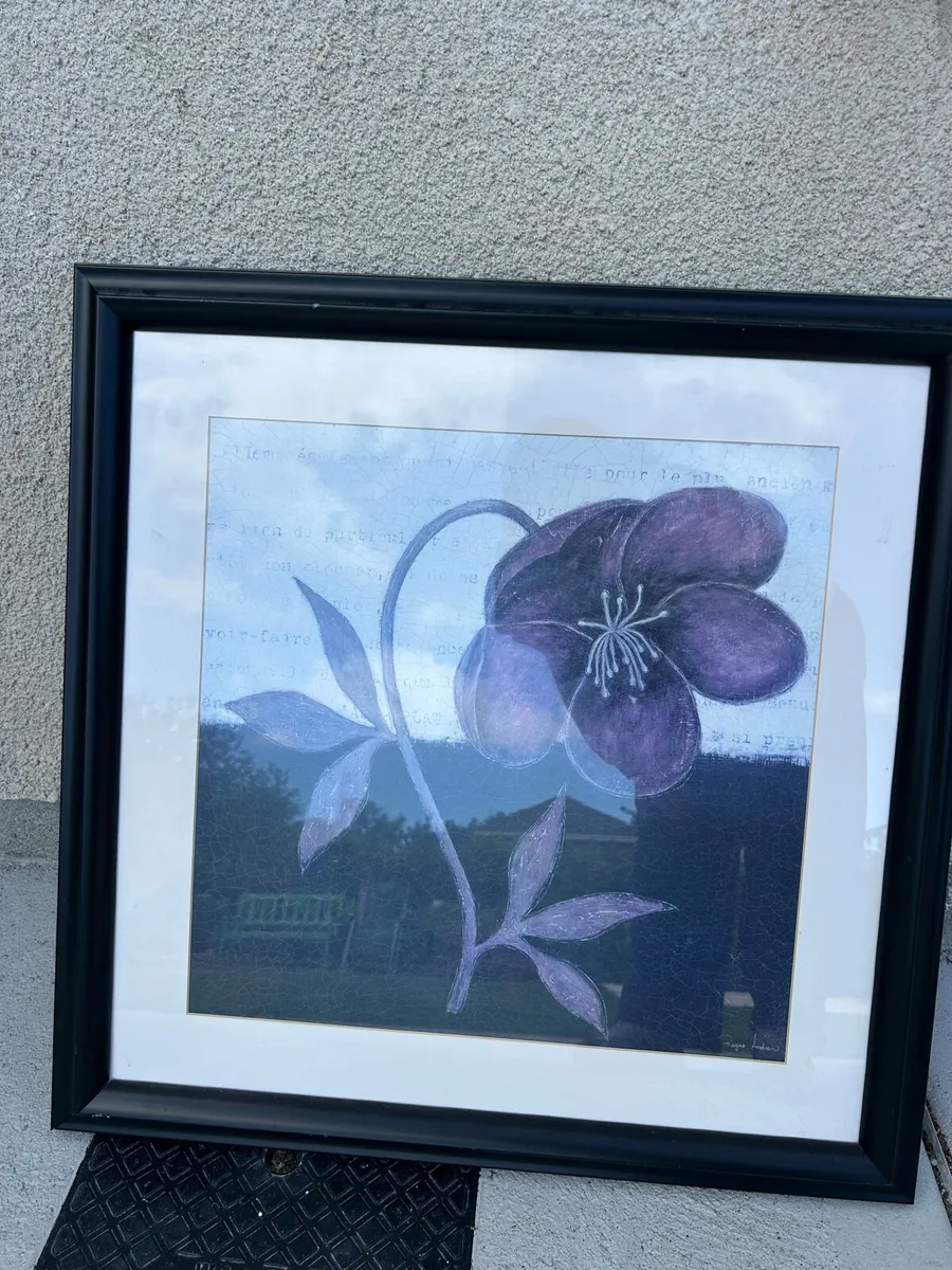 Picture - Image 1