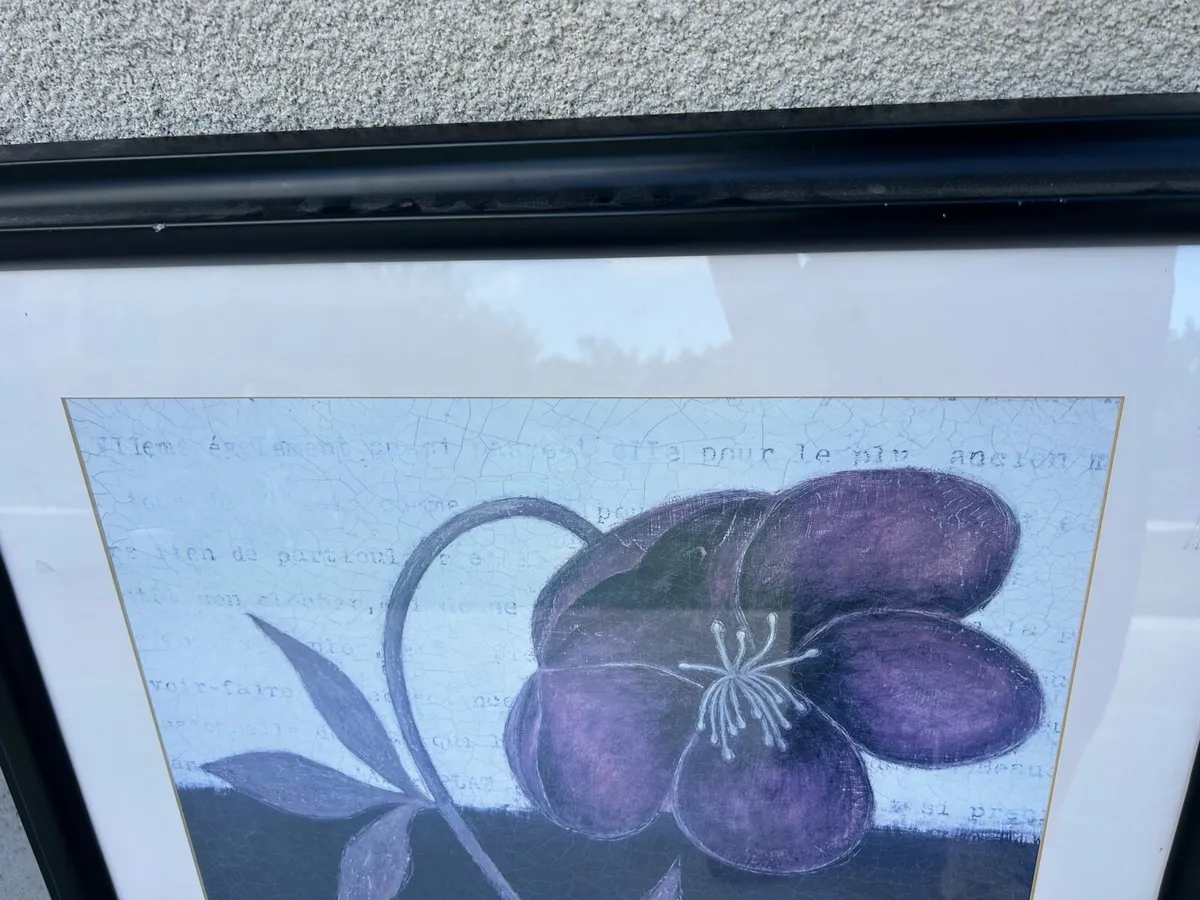 Picture - Image 2